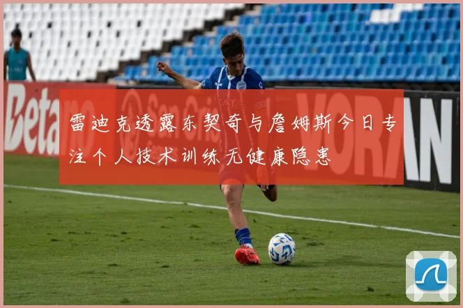雷迪克透露东契奇与詹姆斯今日专注个人技术训练无健康隐患